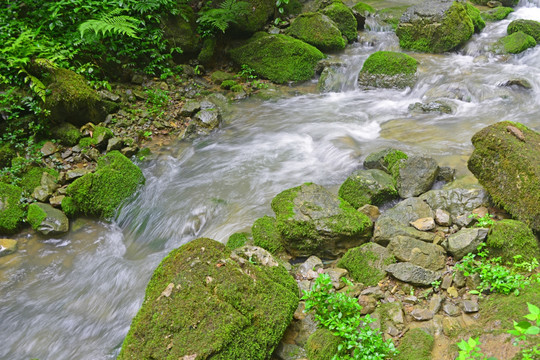 清澈山溪 涓涓流水 山涧清流