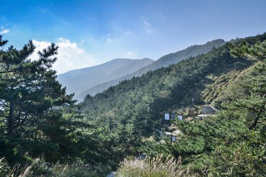 湖北罗田天堂寨风景区