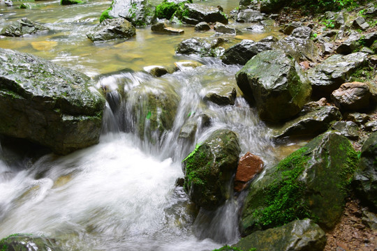 清澈山溪 涓涓流水 山涧清流