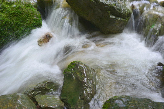 清澈山溪 涓涓流水 山涧清流