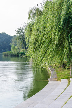 玄武湖公园风景
