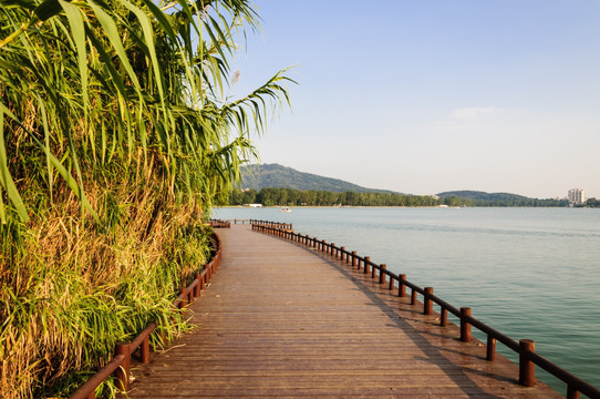 玄武湖公园风景