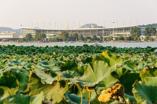 玄武湖公园风景