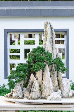 山水盆景