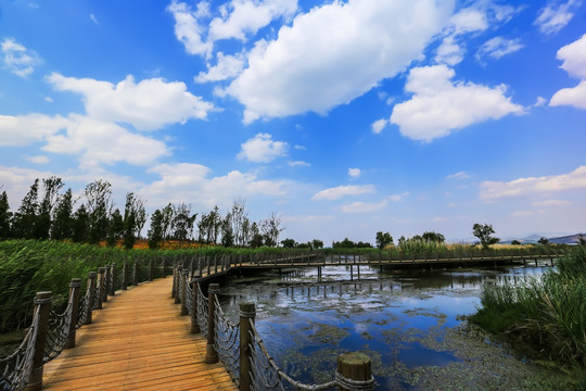 湿地公园木栈道