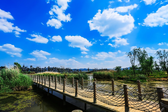 滇池湿地公园