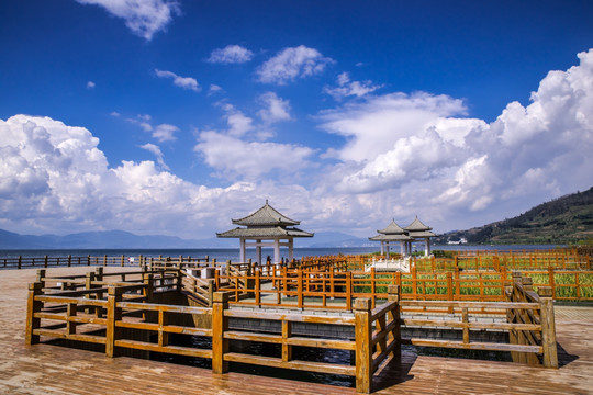 云南抚仙湖湿地栈道