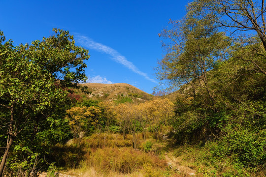 山中秋色