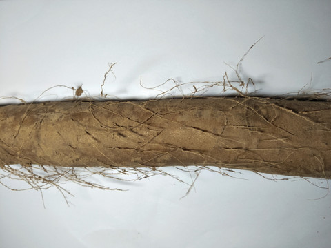 精品淮山药 铁棍山药