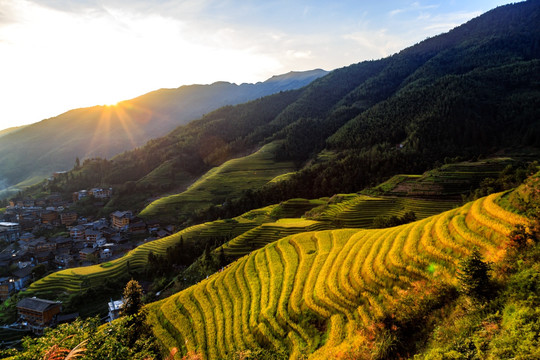 龙胜梯田