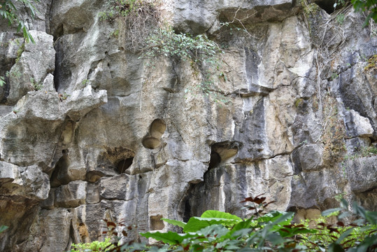 山石 岩石