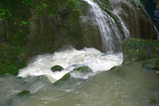 清澈山溪 涓涓流水 山涧清流