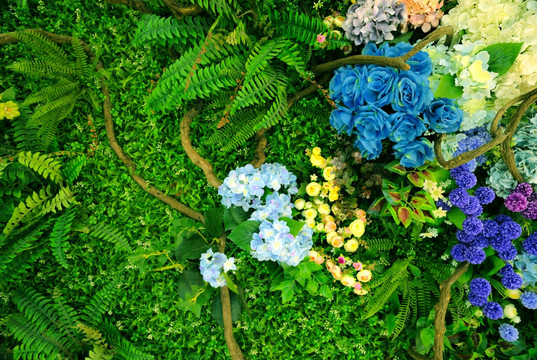 高清植物墙