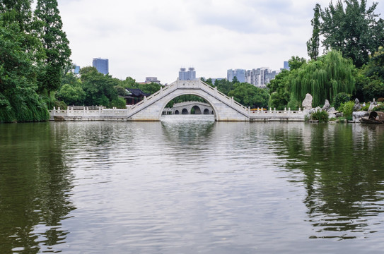 白鹭洲公园风景