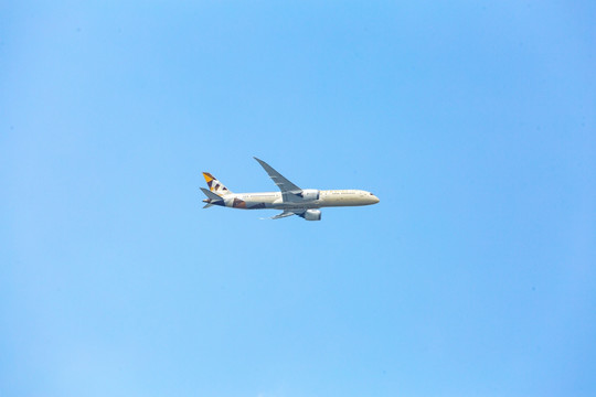 飞机 头顶上的飞机 上海 蓝天