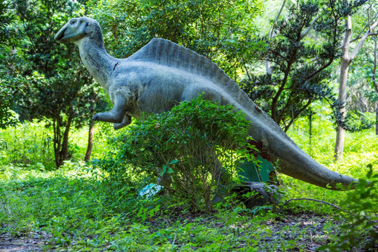 生存法则 恐龙 雕塑