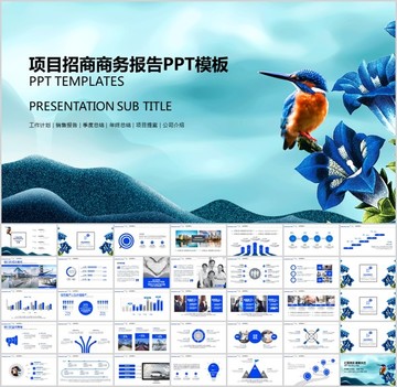 创业融资招商商业计划书PPT