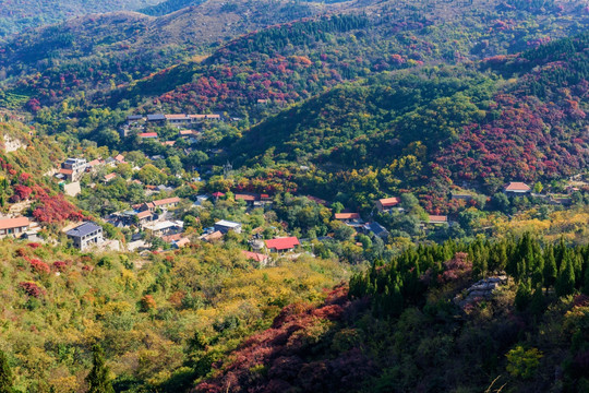 西厢村 俯瞰