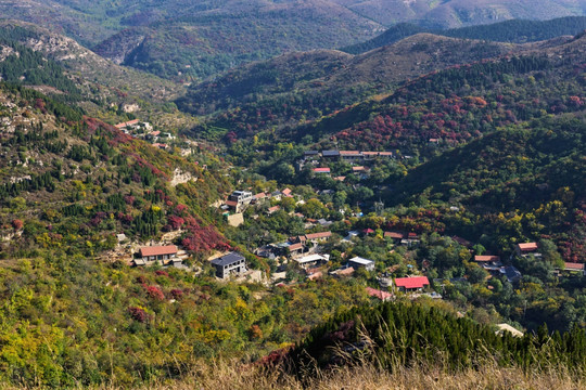 西厢村 俯瞰