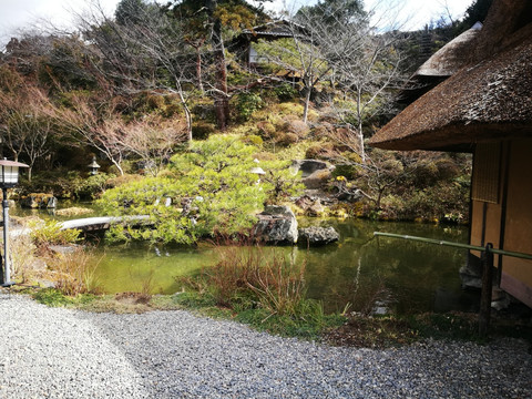 京都 清水寺附近美景