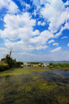 滇池湿地公园