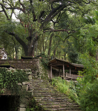 楠溪江埭头古村