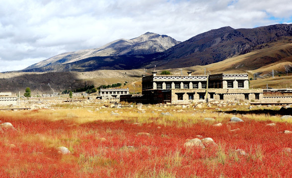 稻城风光 草地