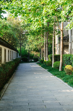 走道