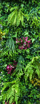 花草绿植装饰墙
