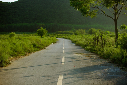 乡村公路