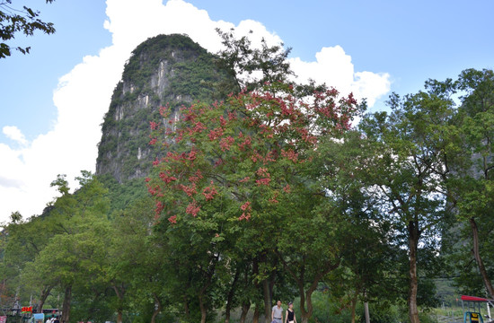 桂林山岭 桂林风景