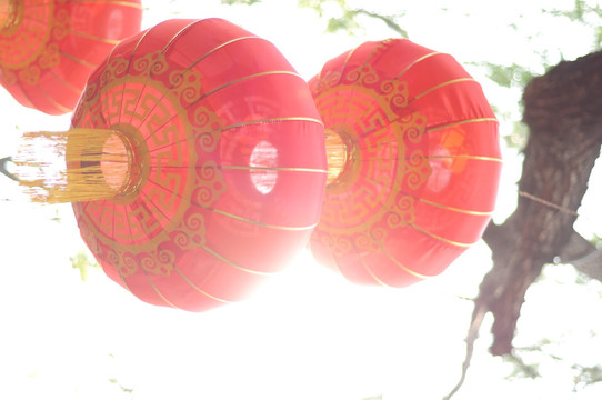 灯笼