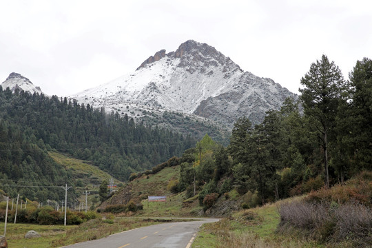 雪峰