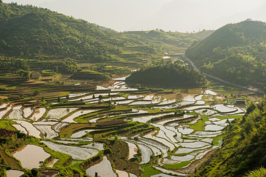 茗岙梯田