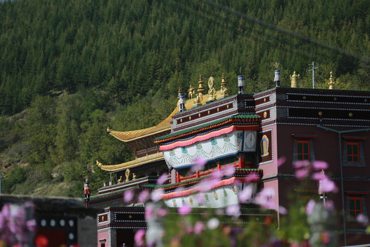 藏传佛教寺庙 塔尔寺