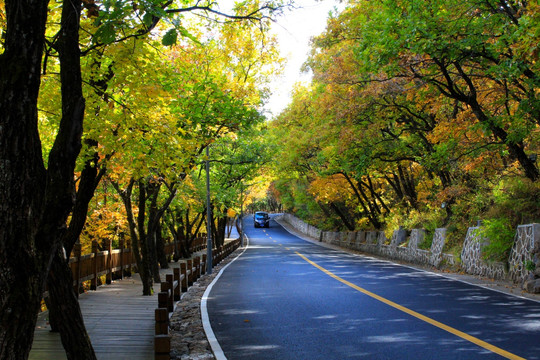 景区公路风景