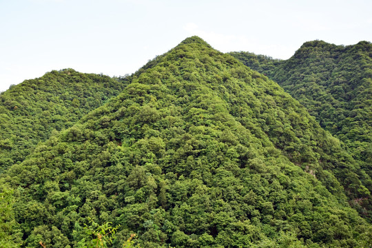 绿色山岭风景摄影