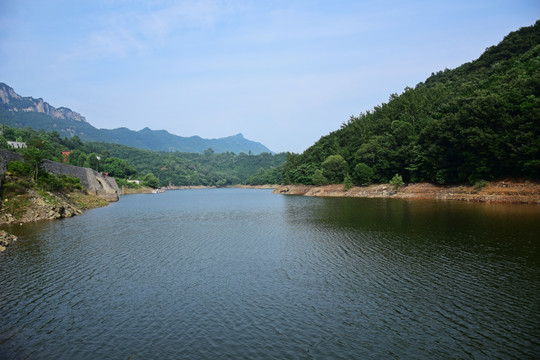 宽阔的绿色水面