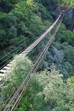山谷上高悬的铁索桥