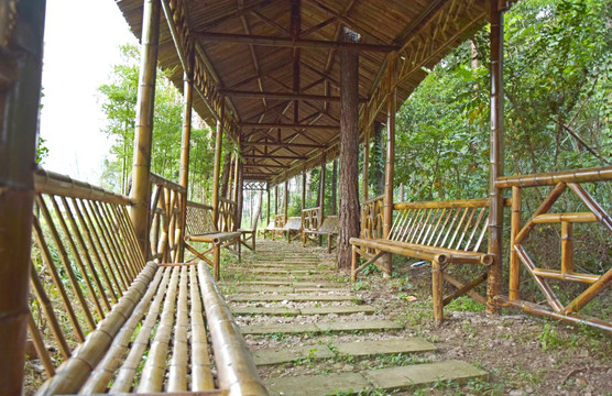 竹子制造的长廊图片素材