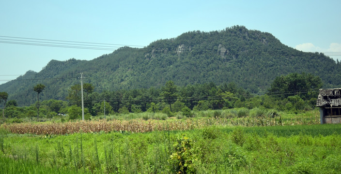 绿色的田地和山脉