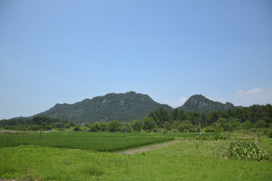 绿色原野和远山