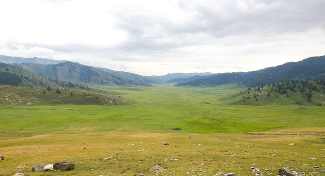 新疆地貌 新疆草原 野外荒地
