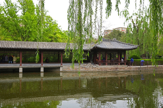 北京团结湖公园