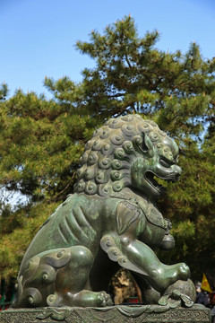 颐和园铜狮子雕塑