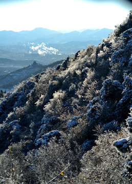 冬日的北京香山