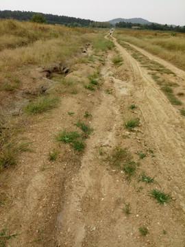 农村生产路 农村土路