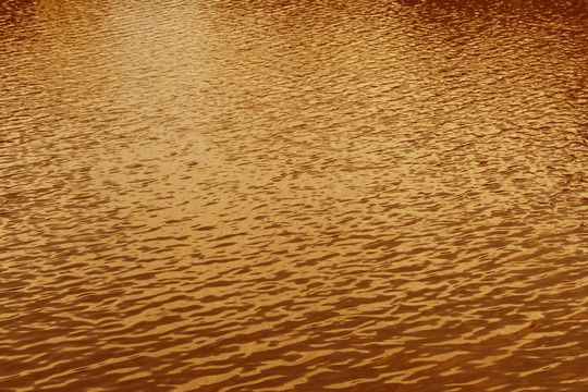 金色湖面
