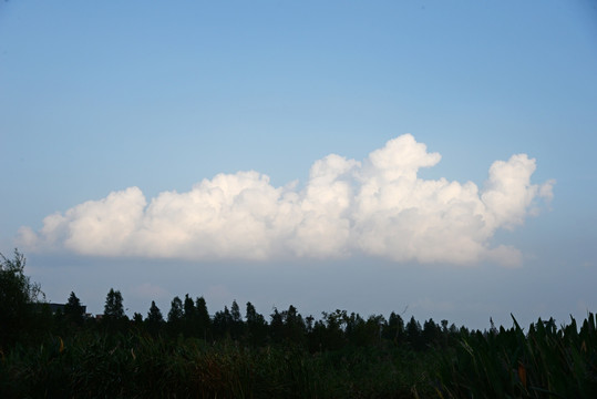 天空白云