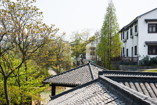 黄龙岘村景